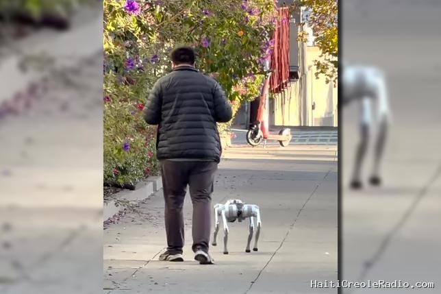 “20 dollars de l’heure” : à San Francisco, une start-up recrute des promeneurs de chiens-robots