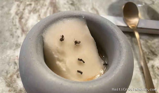 À Séoul, un restaurant étoilé condamné pour un sorbet saupoudré de fourmis