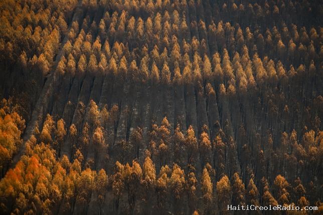 Après l’incendie historique en Gironde, le “jeu dangereux” du gouvernement français