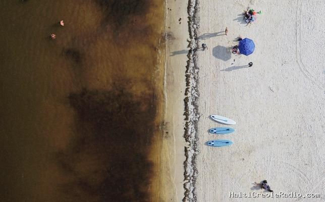 Au Mexique, “personne ne veut être sur une plage envahie par les sargasses”