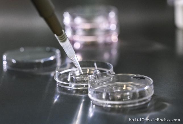 Au Portugal, une clinique de fertilité fait faillite et laisse des rêves d’enfant en suspens