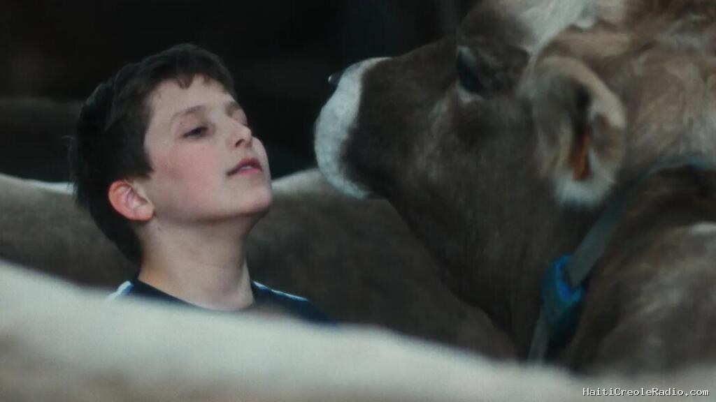 Cannes 2026: «Gabin», Maxence Voiseux suit ce garçon pendant dix ans, entre vaches et vérités