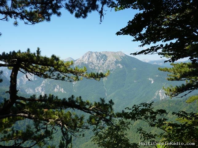 “Cet ours me connaît” : la forêt bosnienne livrée à elle-même depuis vingt mille ans