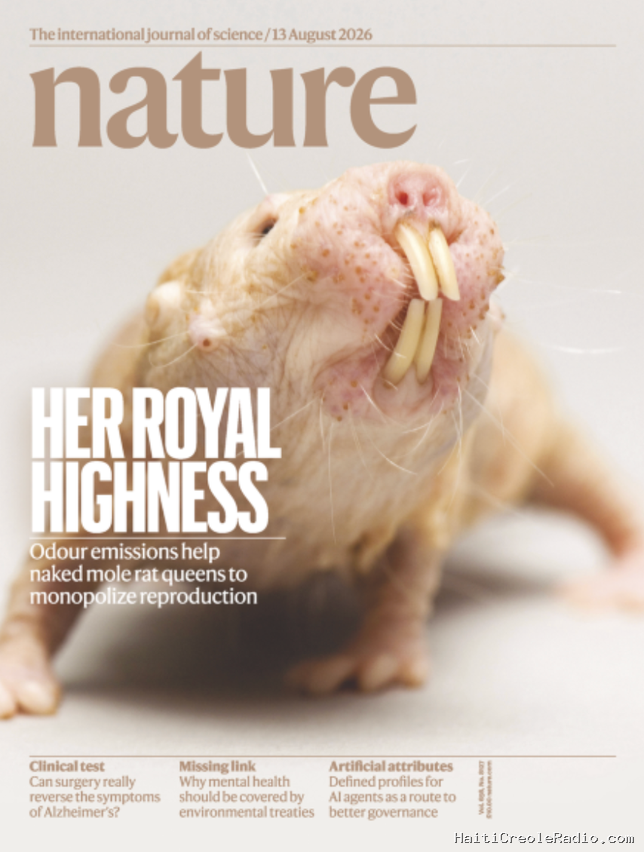 Comment la reine rat-taupe nu maintient son règne