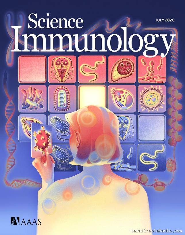 Comment notre immunité se forge une mémoire