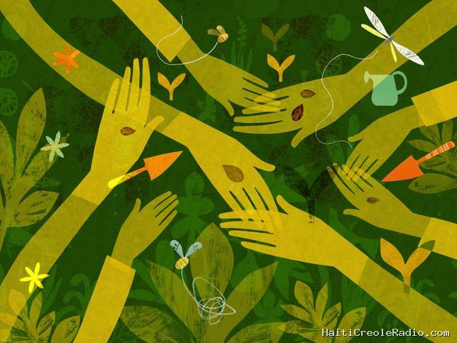 Dans les villes soudanaises assiégées, les jardins potagers sauvent de la faim organisée