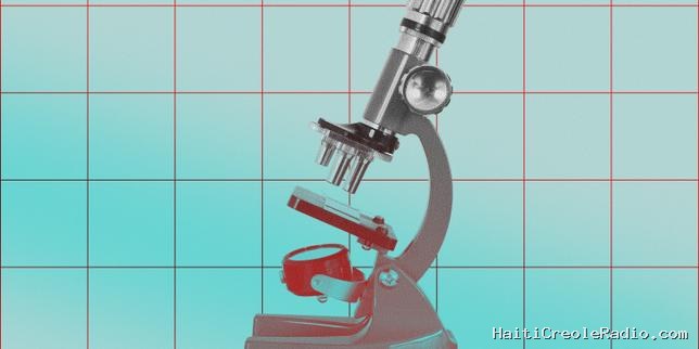 Dépistage génétique préconceptionnel : l’Académie de médecine recommande d’ouvrir l’accès aux couples sans antécédents familiaux