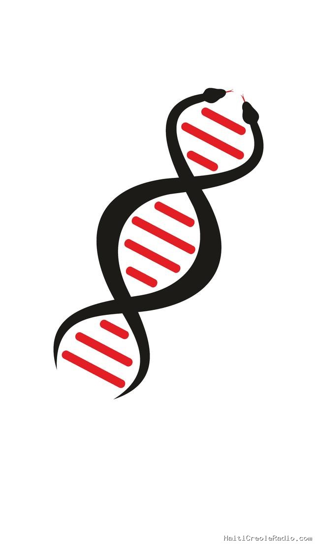 Des armes biologiques créées via IA ? Même les patrons du secteur s’inquiètent
