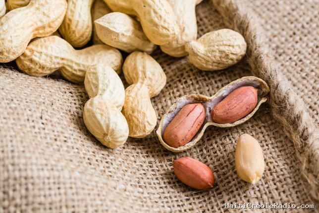 Des capsules fécales ont permis à six adultes de réduire leur allergie à la cacahuète