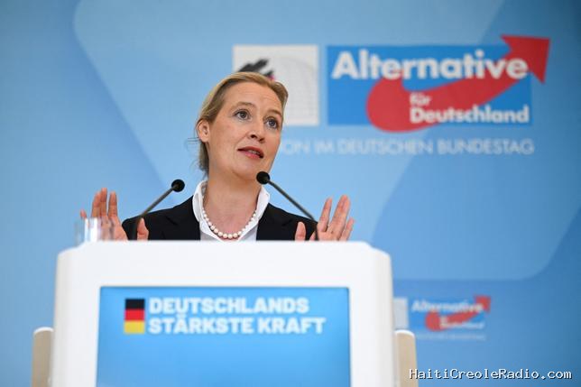 Des centaines de milliers de mails de l’extrême droite allemande rendus publics