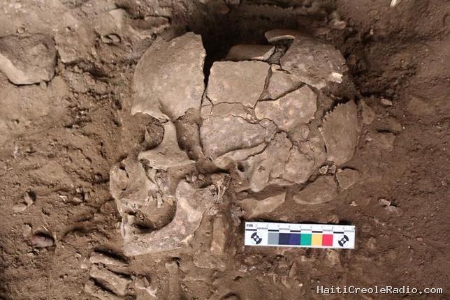 Des dents de squelettes prouvent qu’on se droguait il y a 25 000 ans