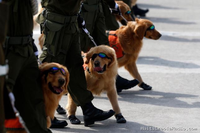 Des super-chiens de guerre, le Nouveau-Mexique contre Meta et des canons électromagnétiques antimigrants