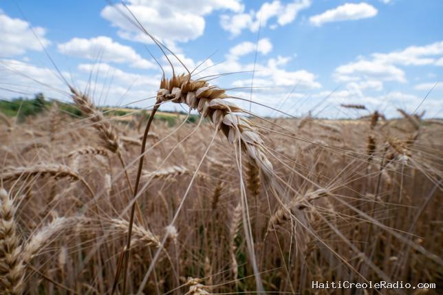 El Niño menace de faire s’envoler les prix des denrées agricoles