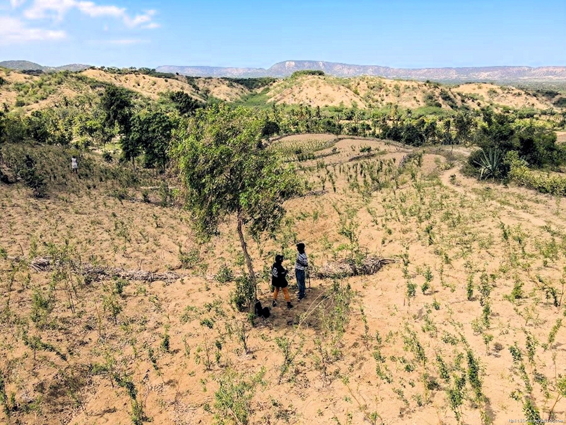 El Niño: When the Pacific Reminds Haiti of its Vulnerability