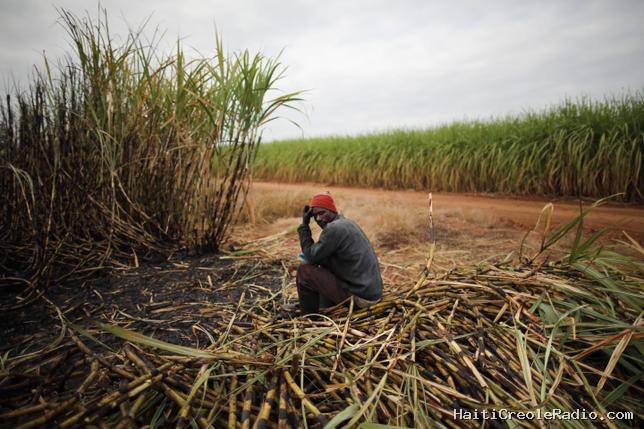 En Afrique du Sud, la montée de la xénophobie fait craindre une pénurie de main-d’œuvre