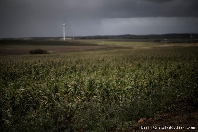 En Afrique, le “super El Niño” risque d’amplifier l’impact des crises géopolitiques