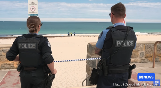 En Australie, un ordre d’abattage rare émis après une attaque mortelle de requin