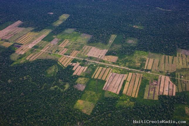 En Bolivie, la déforestation de l’Amazonie avance aussi vite qu’elle recule au Brésil