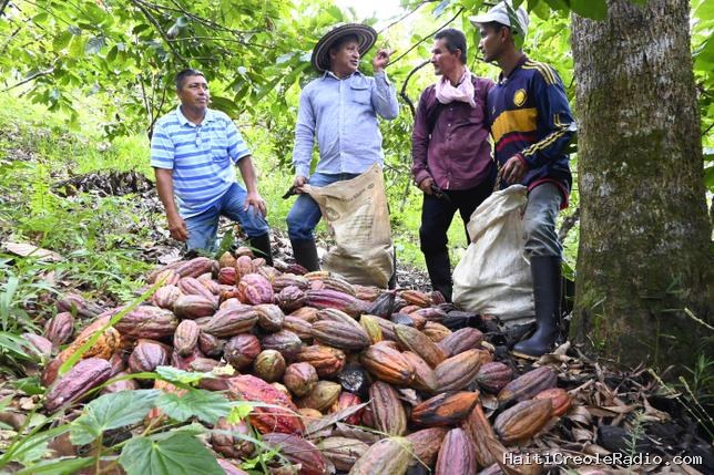 En Colombie, le gouvernement veut rayer le mot “paysan” du dictionnaire