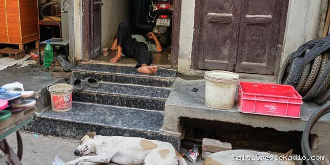 En Inde, la chaleur fait au moins 16 morts dans le sud du pays