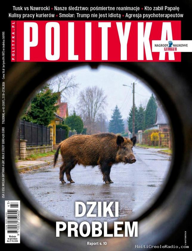 En Pologne, les sangliers envahissent les villes
