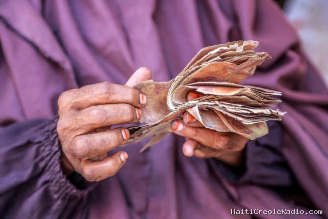 En Somalie, les commerçants n’acceptent plus la devise locale : “Notre monnaie est morte !”