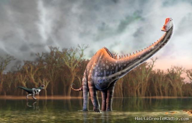 Fromage fade, dinosaures au plafond et “Wemby” superstar : petites histoires de France
