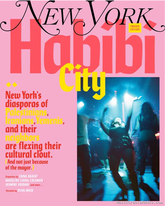 “Habibi City” : à New York, la vibrante scène culturelle des diasporas arabes et sud-asiatiques