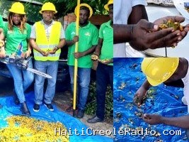 Haïti - Environnement : Collecte de semences locales pour soutenir la reforestation nationale