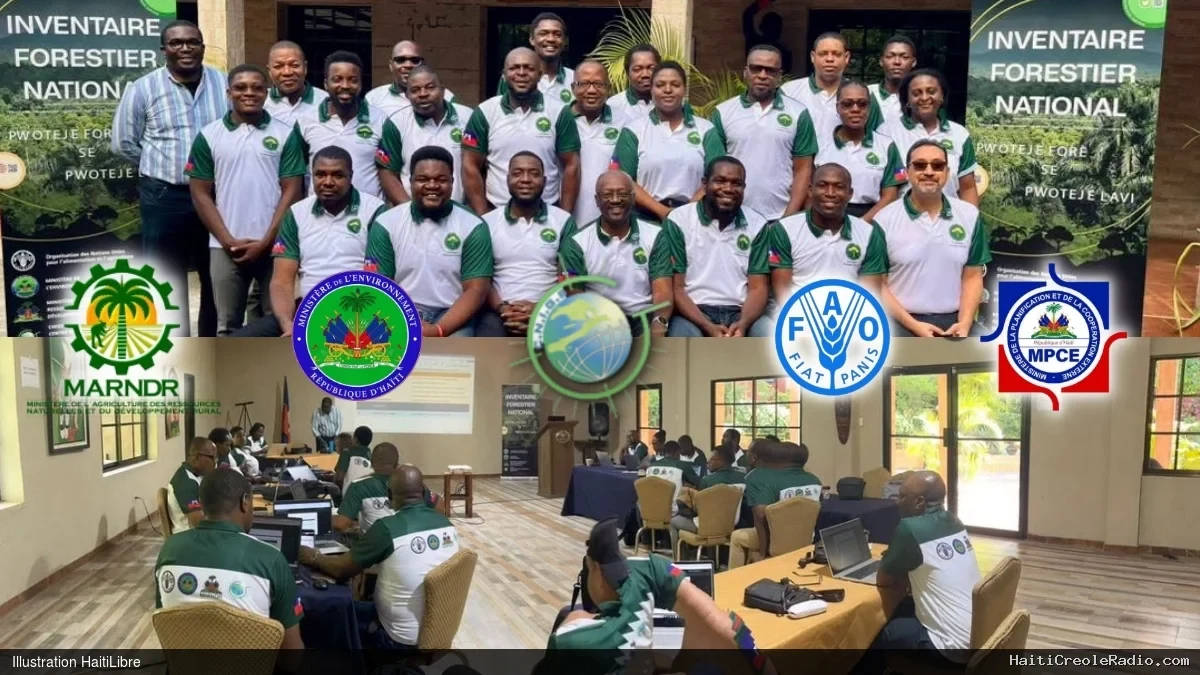 Haïti - Environnement : Renforcement des capacités du Système National de Surveillance des forêts