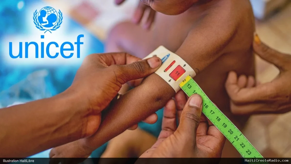 Haïti - FLASH : Vers une situation critique de la malnutrition infantile en Haïti, entre décembre 2026 et mai 2027