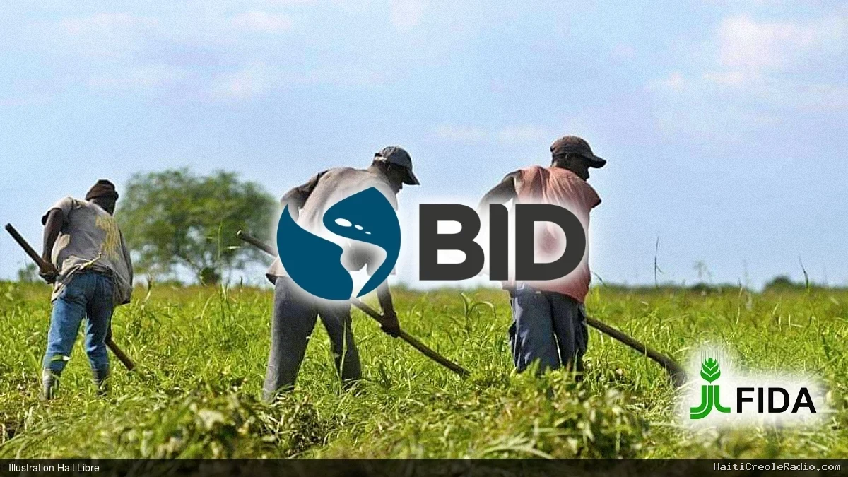 Haïti - Nord et Nord-Est : 47,9 millions USD pour renforcer la productivité agricole