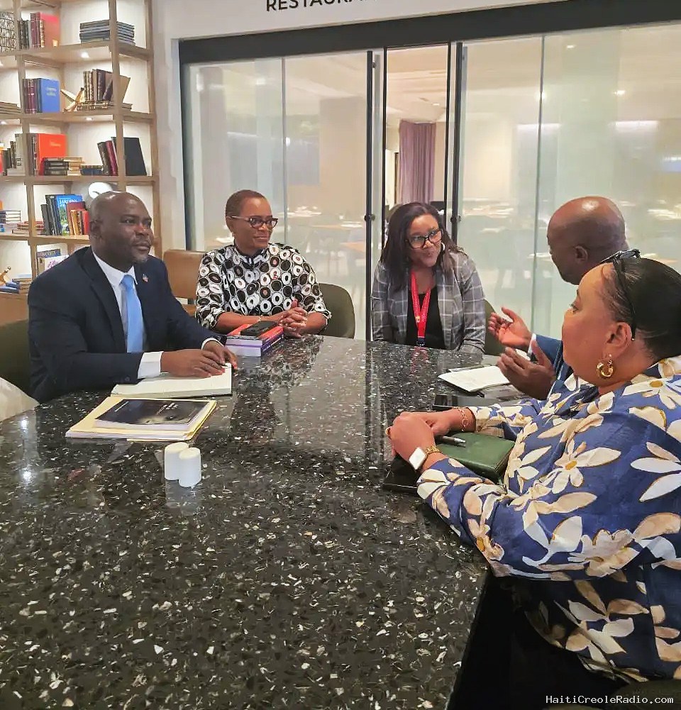 Haiti’s Electoral Council reshuffles leadership as election preparations face criticism