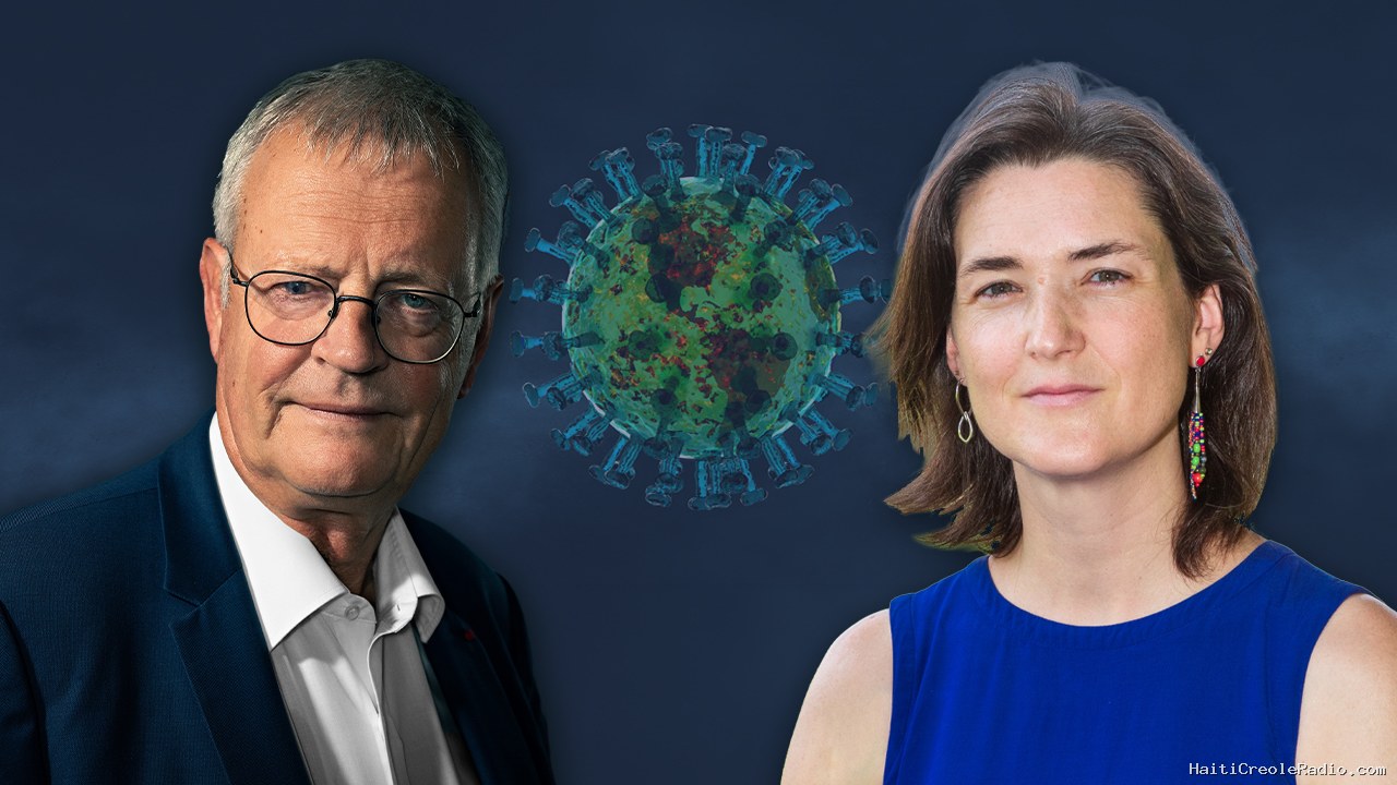 Hantavirus, Ebola : le retour des pandémies ? | Les mardis de l’IRIS