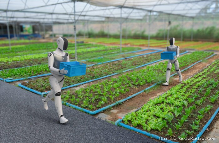 Humanoïdes : révolutions agricoles et alimentaires ?