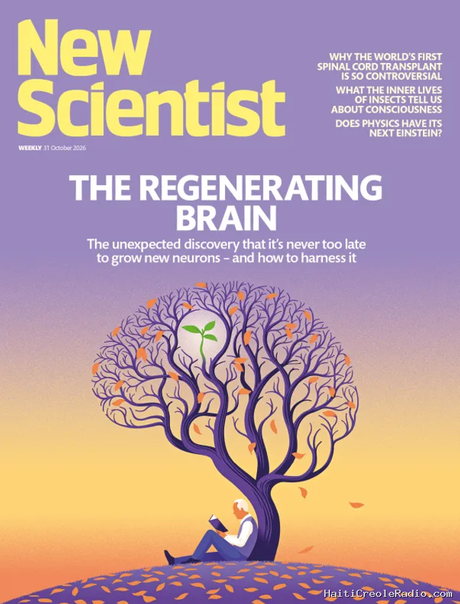 Il n’est jamais trop tard pour avoir de nouveaux neurones