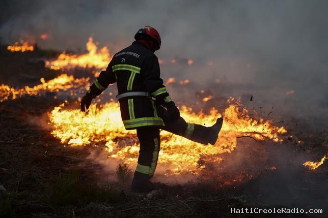 Incendies en Europe : le changement climatique ne doit pas être un alibi pour l’inaction