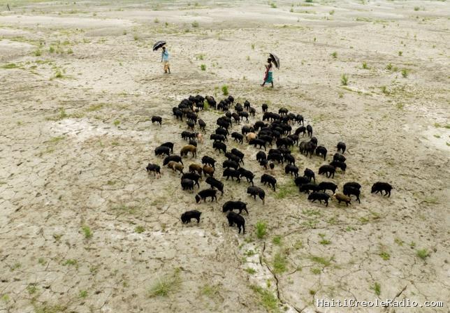 La planète en alerte face à un “super-El Niño”