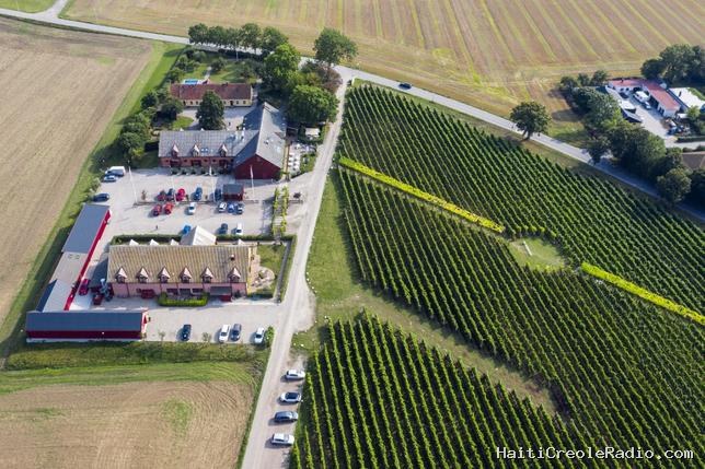 La Scanie, ce petit coin de Suède qui se fait une place sur la carte des vins
