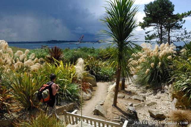 La surprenante oasis tropicale nichée au fin fond du Finistère