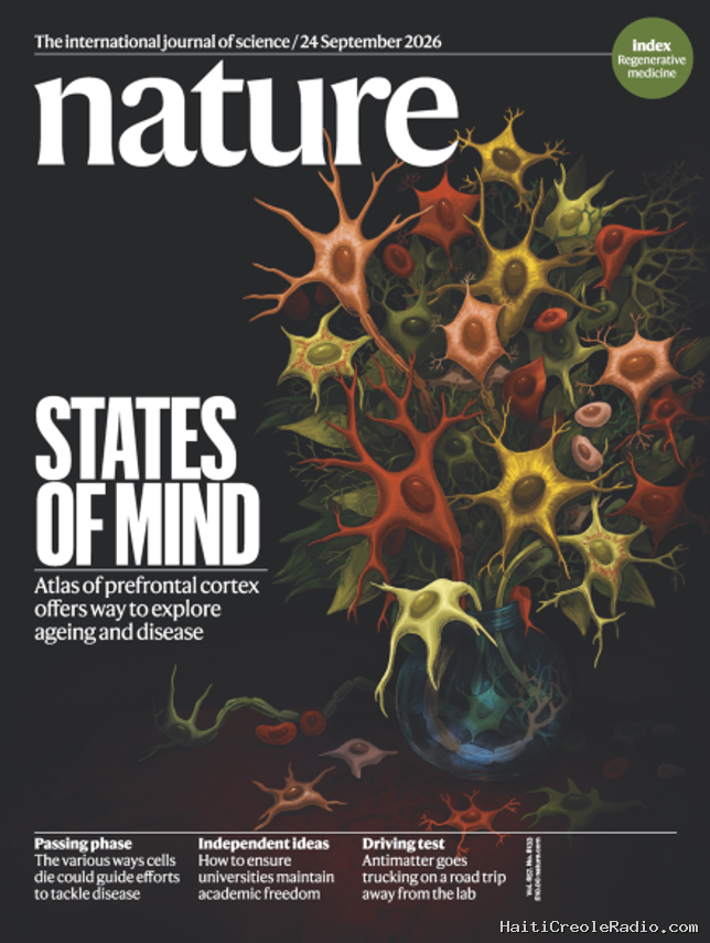 La zone du cerveau associée aux émotions cartographiée à l’échelle de la cellule