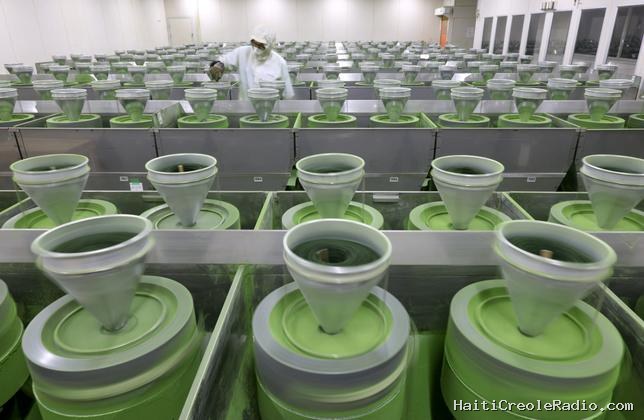 Le Japon tente de protéger son matcha et ses thés verts face à la concurrence chinoise