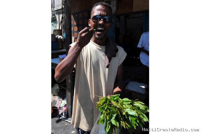 “Le khat, c’est génial !” : sur la route à Djibouti, tout un pays hébété