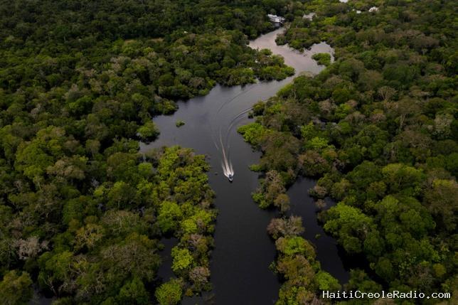 Le président colombien reconnaît la victoire de Lula : de bon augure pour la forêt amazonienne