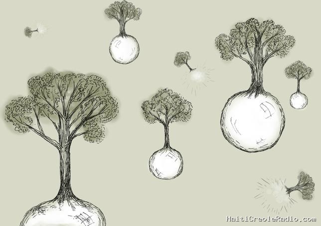 Le silence de la nature, ce luxe oublié