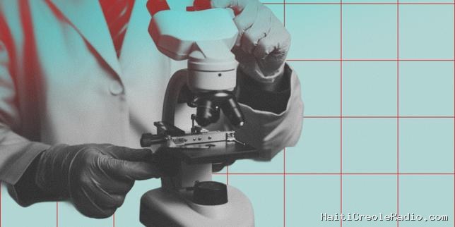 Le sucre, à l’origine de la myélinisation des neurones