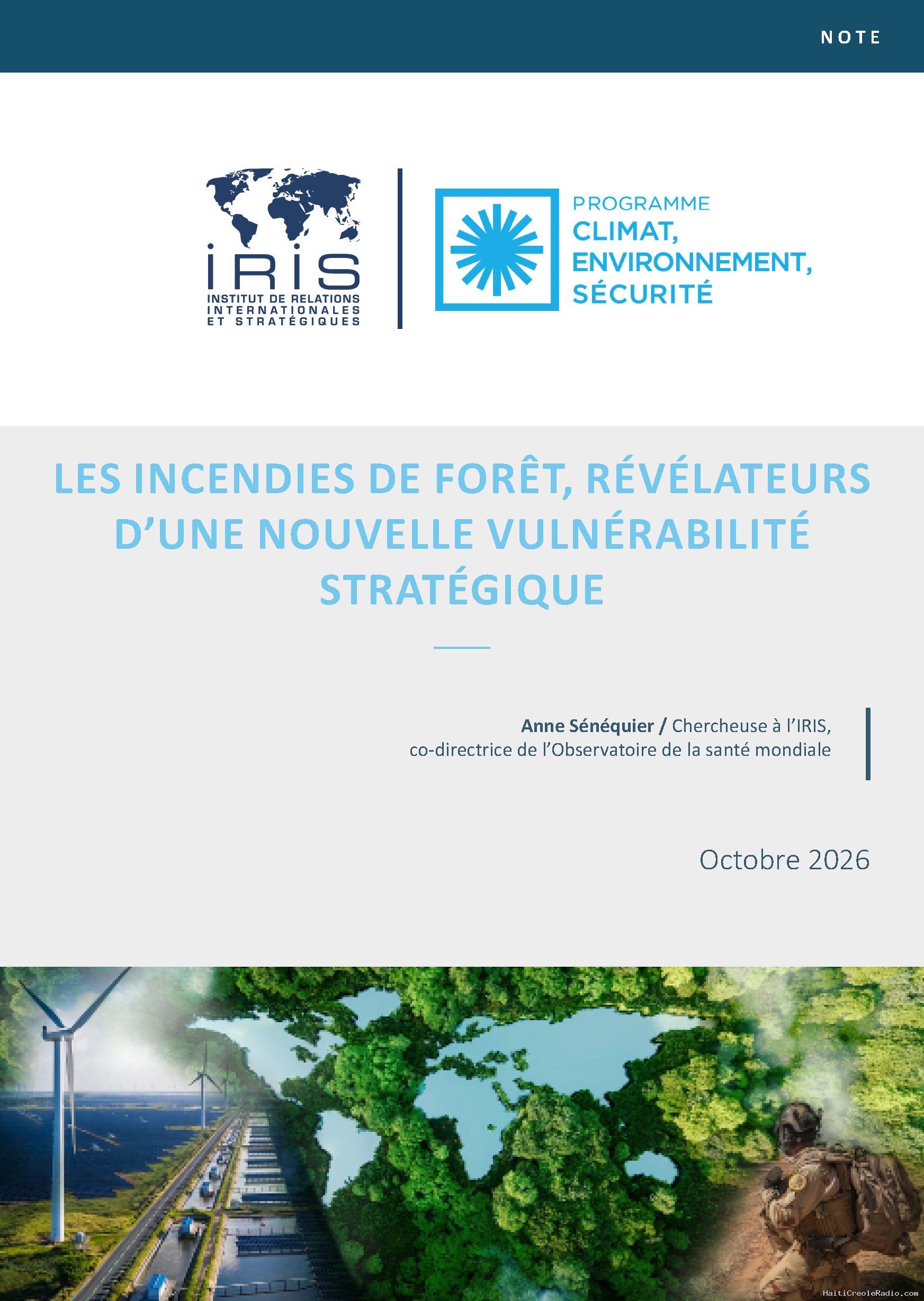 Les incendies de forêt, révélateurs d’une nouvelle vulnérabilité stratégique