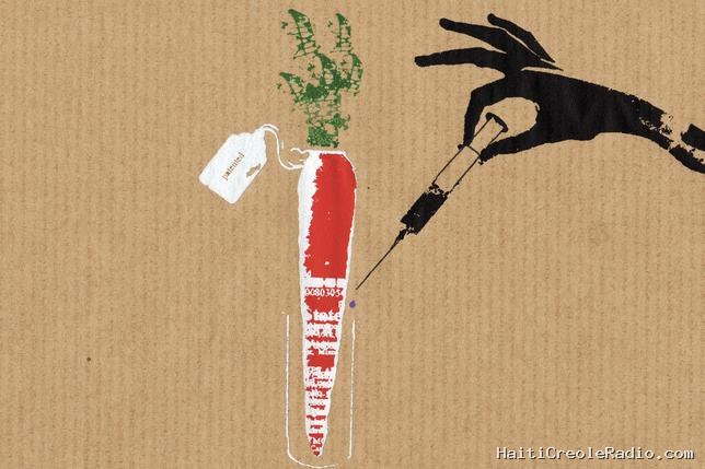 Les NGT, ces “nouveaux OGM” qui vont profiter à l’agriculture intensive