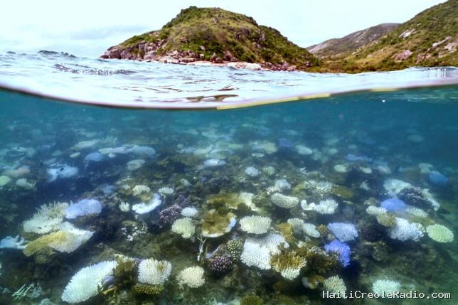 Les océans n’avaient jamais été aussi chauds pendant un mois de juillet