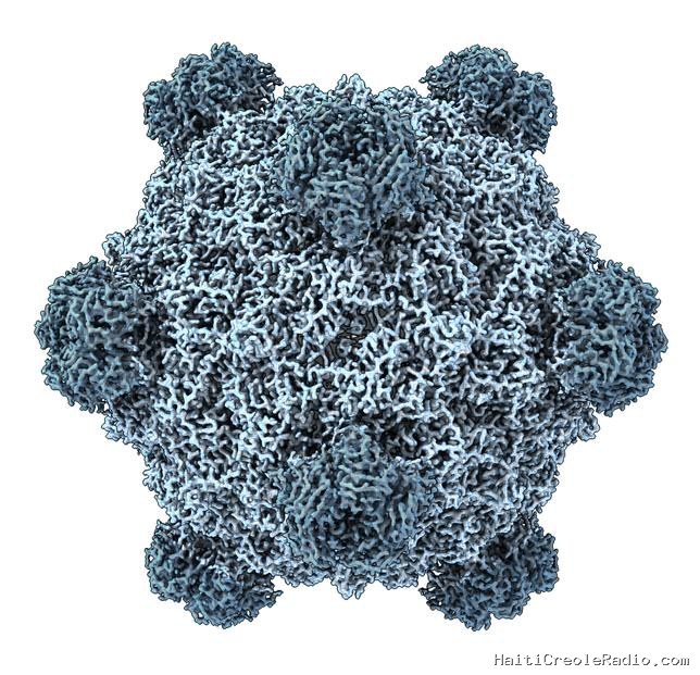 Les promesses des virus créés par IA, en attendant un cadre réglementaire